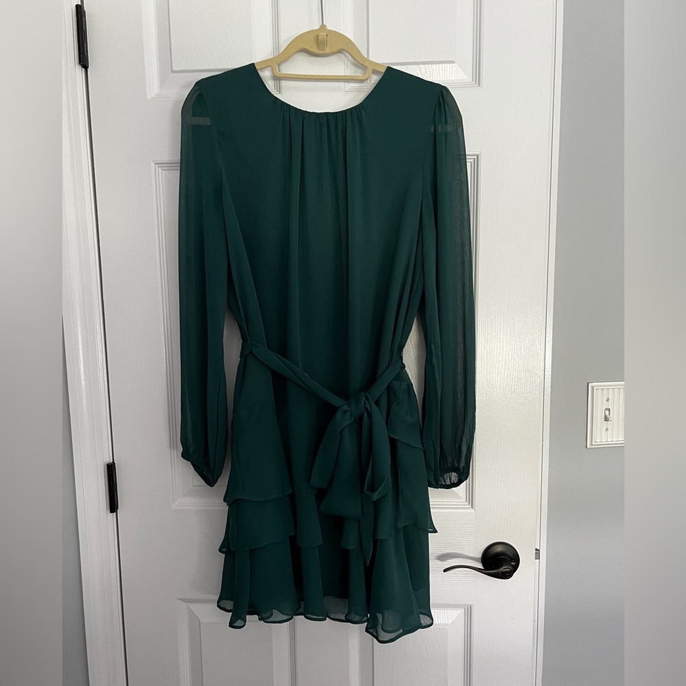 Express long sleeve dress